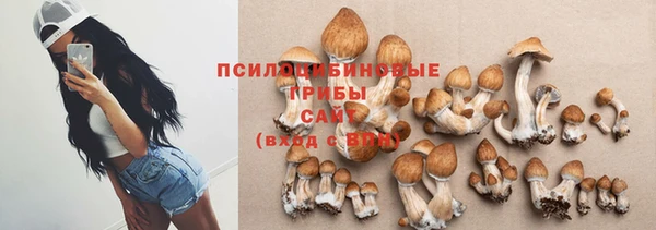 spice Осинники