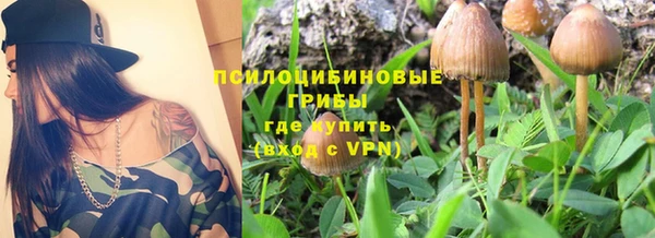 метадон Няндома